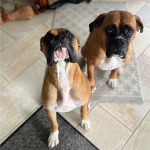 Meet your Posher, Jackie